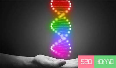 一项新研究：同性性行为相关基因也存在于异性恋者身上   