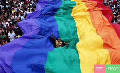 巴西法官裁决“同性恋是病”用“转换疗法”引激烈争议   