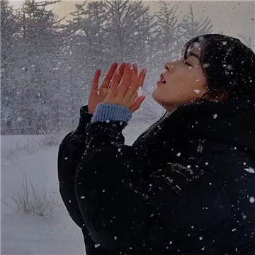 大海与雪不可兼得