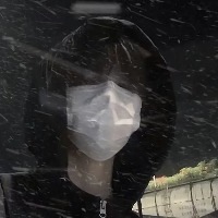 倾国倾城倾美人