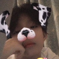 真亦假时假亦真