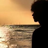 東京那场櫻花雨