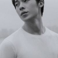 向日花開的季節