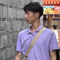 森与鹿迷林与猫欢