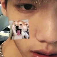 菇凉我想你已成伤