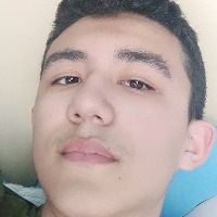 彼岸花开出了盛夏