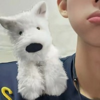 他是信仰她是依赖